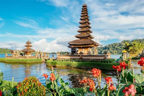 The Bali Bible .